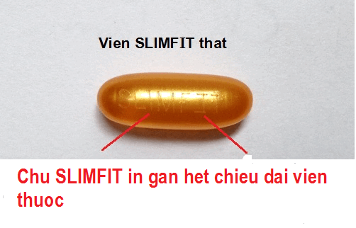 vien-slimfit-usa-that-11