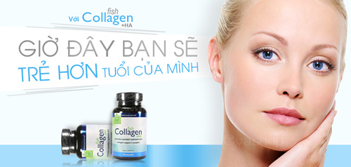fish-collagen-ha-120-vien-4