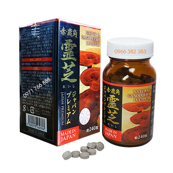 nam linh chi sung huou tu nhien 003