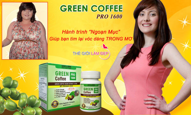 Banner Green Coffee Pro 1600-123